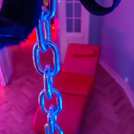 Lägenhet Exotic Detox Grey Manufaktura Vip Bdsm Swing Łódź