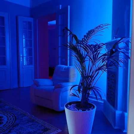 Exotic Detox Grey Manufaktura Vip Bdsm Swing 公寓 *