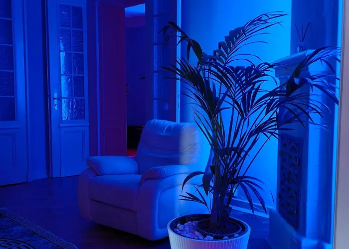 Exotic Detox Grey Manufaktura Vip Bdsm Swing شقة *